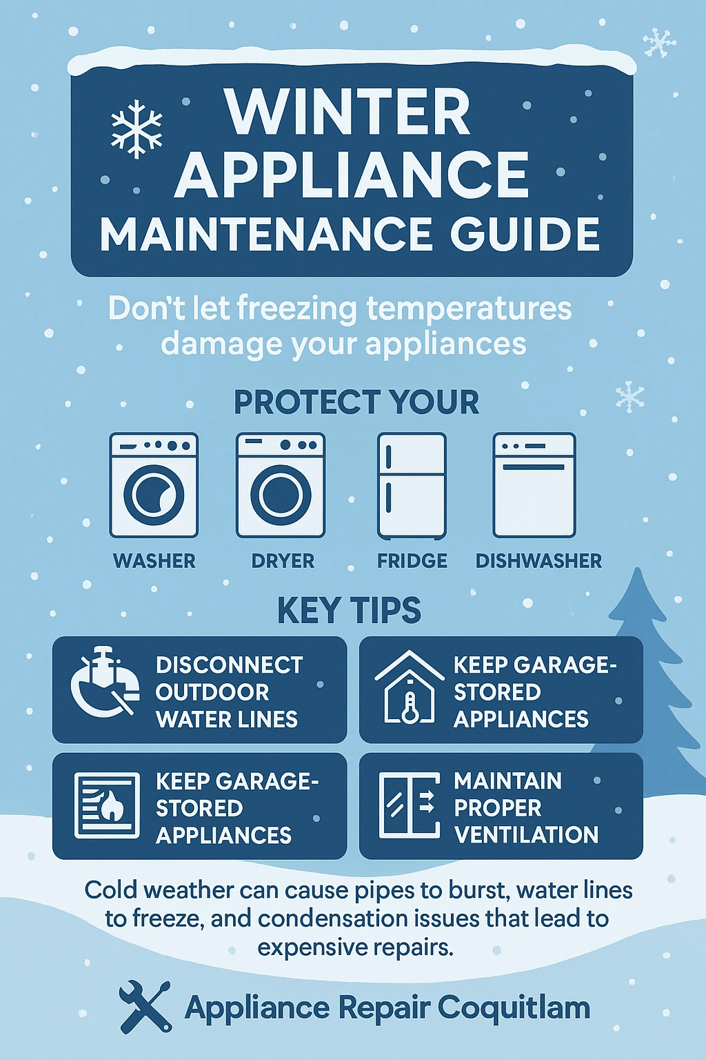 Appliance winter preparation Coquitlam key takeaways infographic